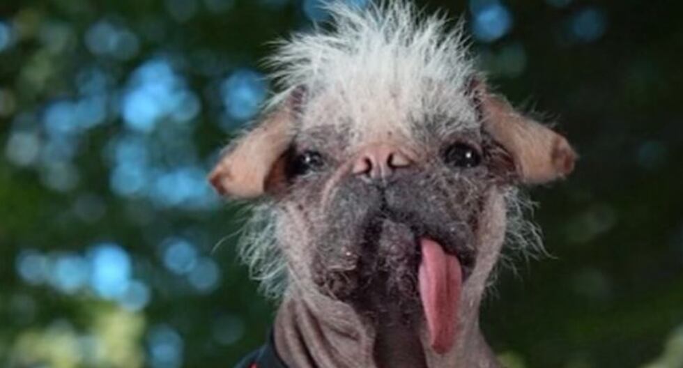 Deadpool 3: explicación del personaje de Dogpool | DEPOR-PLAY | DEPOR