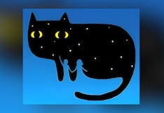 Descubre cuál es tu más grande fortaleza, según qué veas primero en la imagen