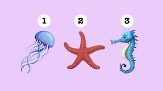 Descubre qué criatura marina simboliza tu forma de enfrentar la vida