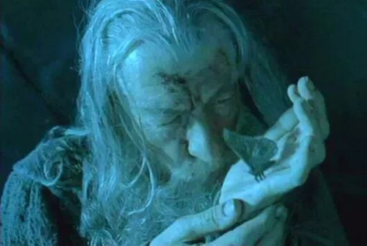 Gandalf comunicándose con una polilla en "El señor de los anillos: La comunidad del anillo" (Foto: New Line Cinema)