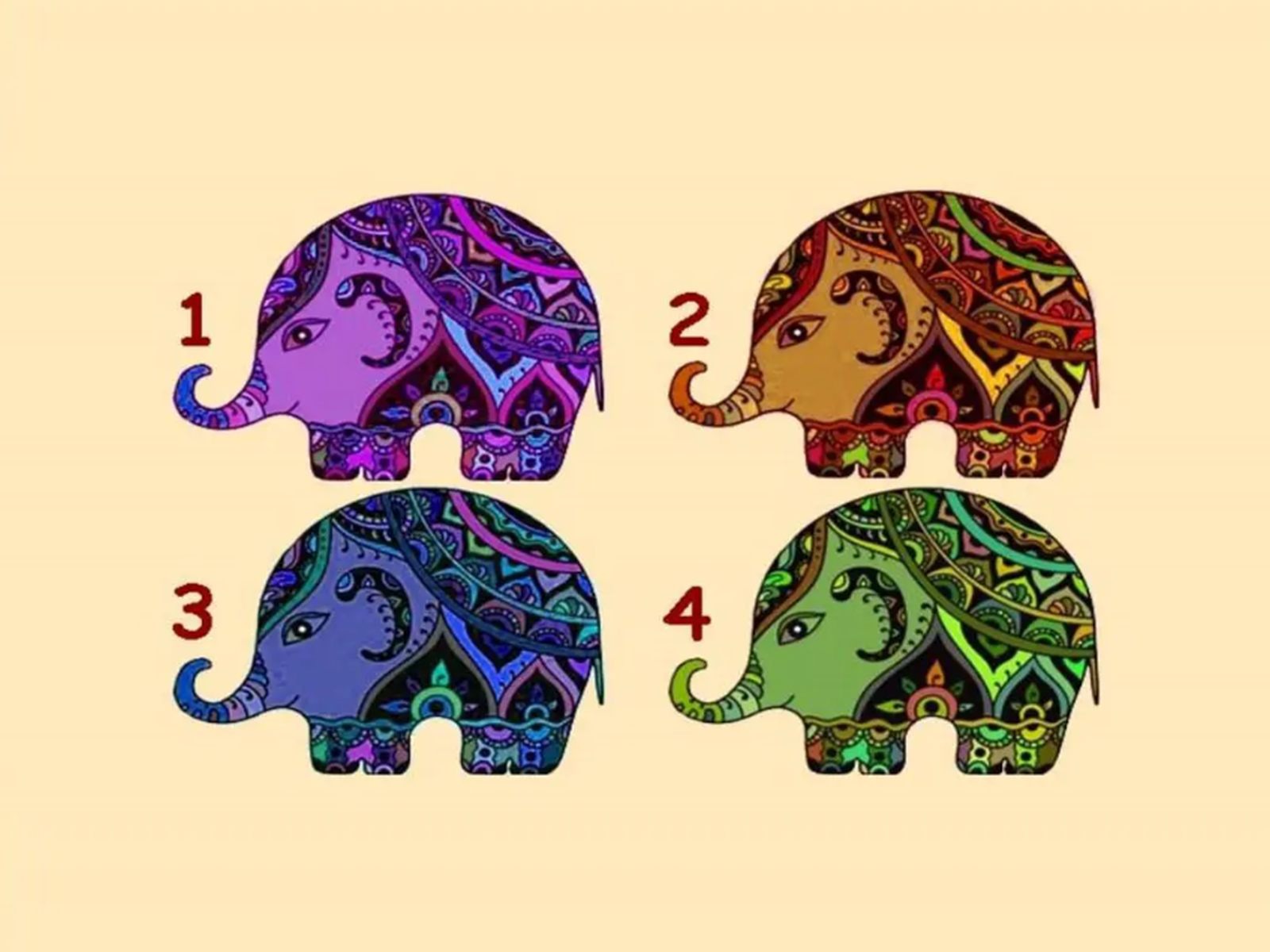 TEST VISUAL | En esta imagen se puede apreciar varios elefantes. Tienes que elegir uno. (Foto: namastest.net)