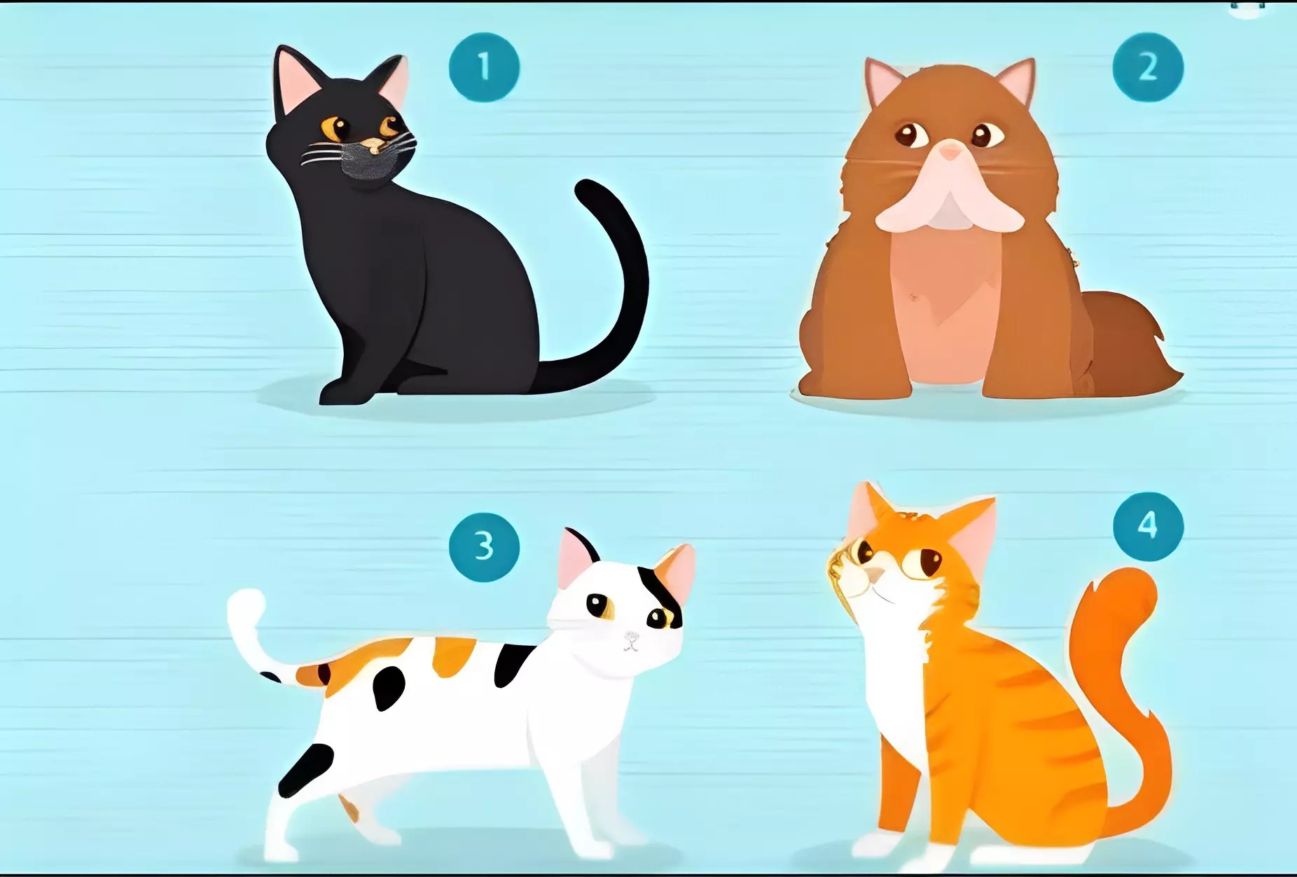 Test de personalidad: El gato que escojas revelará lo que buscas al momento de elegir una pareja (Foto: GenialGuru)