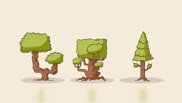 TEST VISUAL | Son tres árboles presentes en esta prueba mental. Escoge uno. (Foto: Composición Freepik / Depor)
