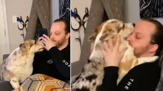 El momento en que un perro hace que un joven deje su móvil para el abrazo