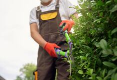 Heredero de Hermés adoptó a su jardinero para dejarle su herencia, pero ambos se quedan sin dinero