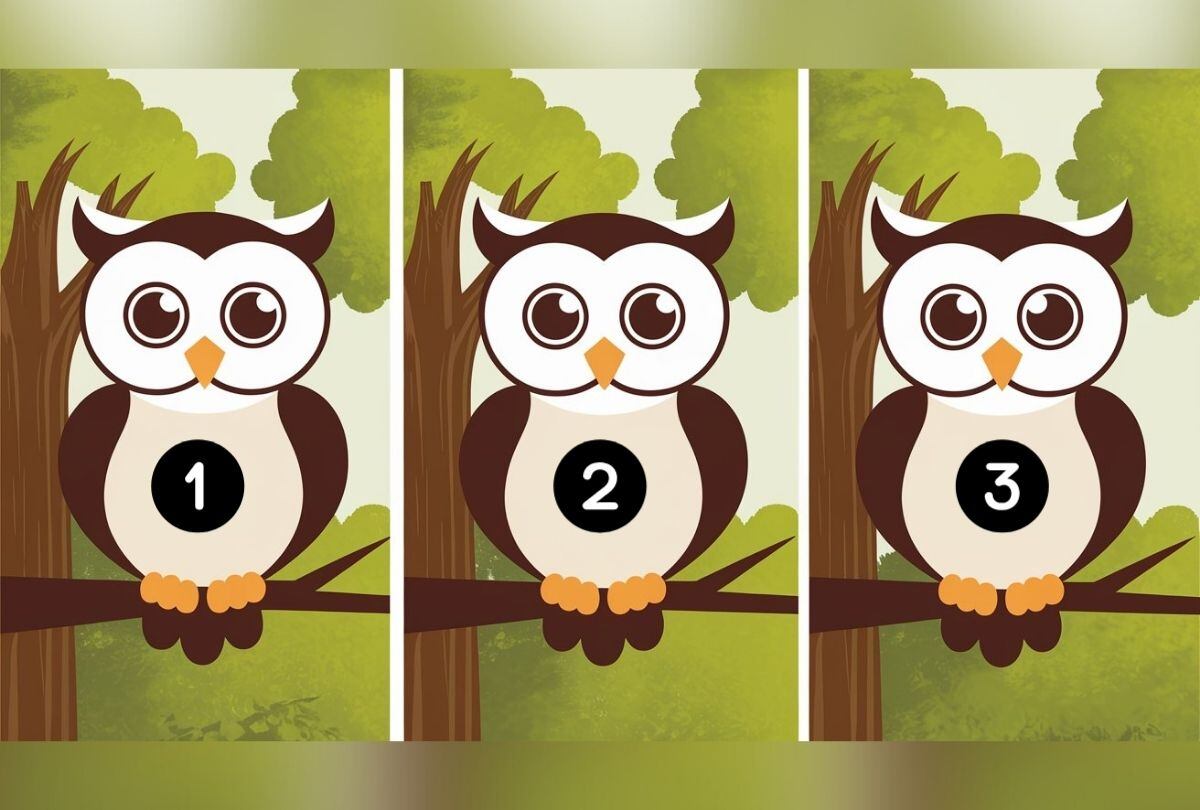 Choose one of the three owls in this image to discover how intelligent you are (Design: Depor).