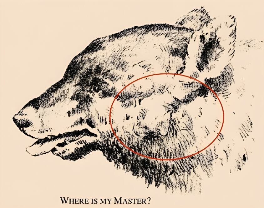 Aquí se encuentra la persona dentro del oso en el test visual de hoy (Foto: Internet)