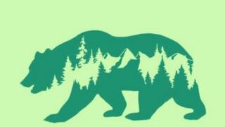 Descubre tu nivel de perfeccionismo y obtén revelaciones sorprendentes con este test de visual