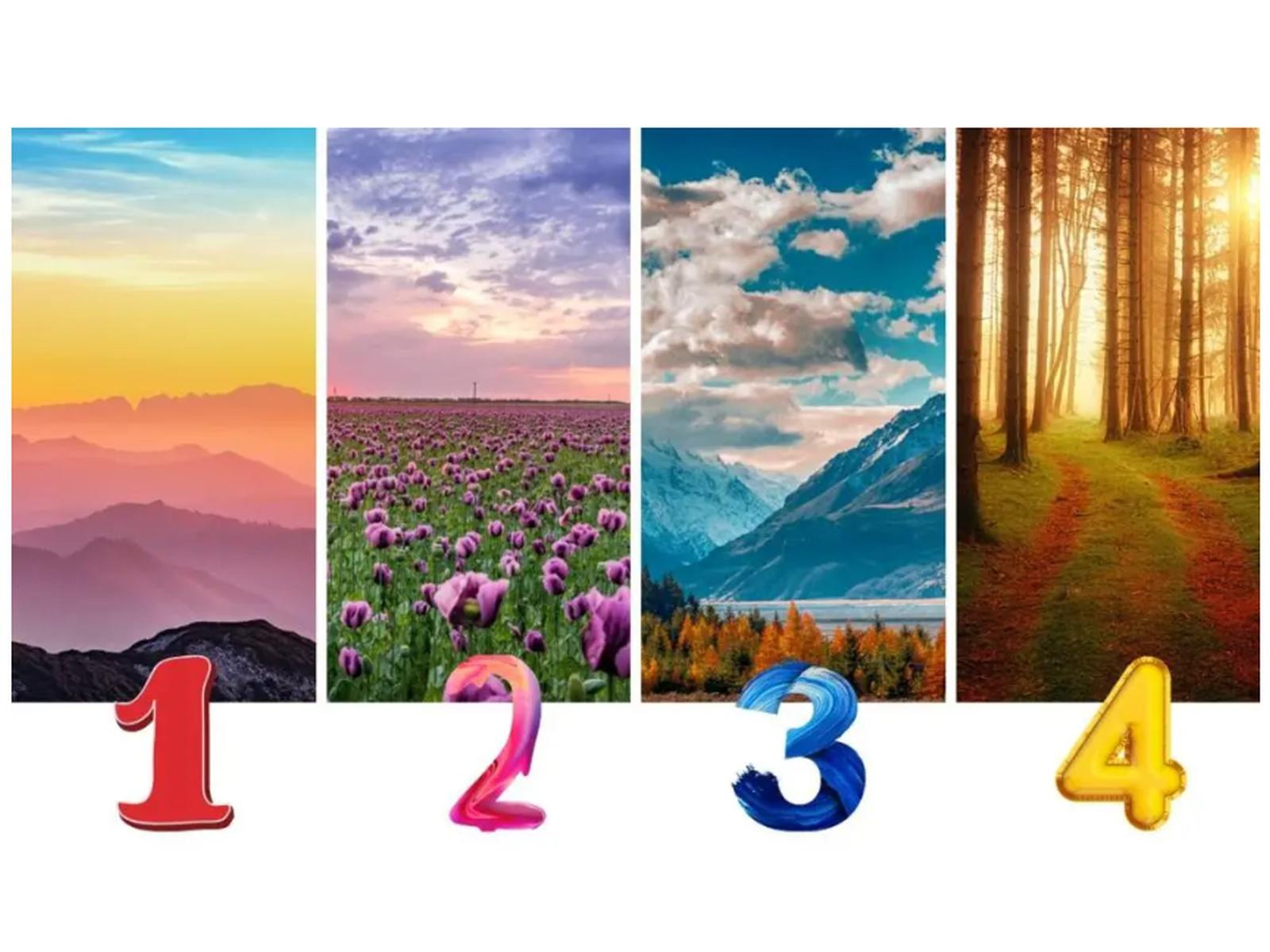 TEST VISUAL | En esta imagen se aprecian varios paisajes. Tienes que seleccionar uno. (Foto: namastest.net)