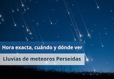 🔭 Hora exacta, cuándo y dónde ver la lluvia de meteoros Perseidas 2026 EN VIVO hoy en México