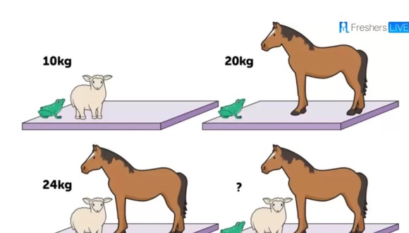 RETO MATEMÁTICO | ¿Puedes adivinar el peso del caballo, la oveja y la rana en 28 segundos? | FresherLive
