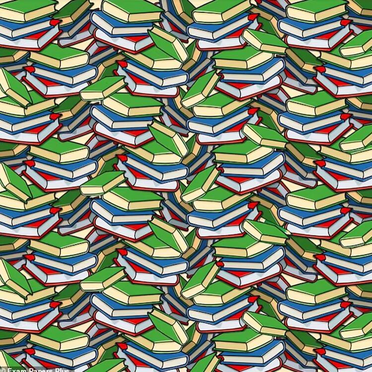 Localiza el lápiz escondido entre los libros: solo los más ágiles lo encuentran en 5 segundos (Foto: Depor)