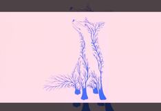 ¿Qué admiran las personas de ti? Conócelo al decirme qué miraste primero