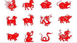 Horóscopo Chino 2021: estos son los años que corresponden a cada animal del zodiaco