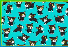 ¿Cuántos gatos sin cola puedes identificar? Desafía tu visión en este reto visual