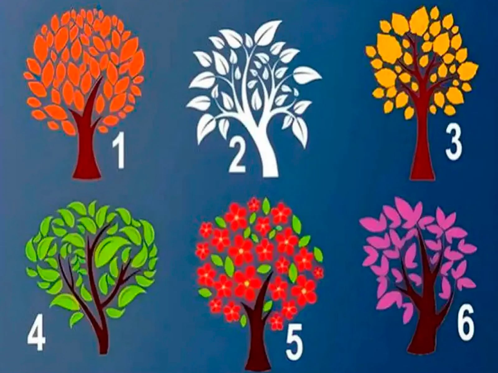 TEST VISUAL | Tienes que escoger una de las tantas opciones que te mostramos para que conozcas los resultados. | Foto: genial.guru