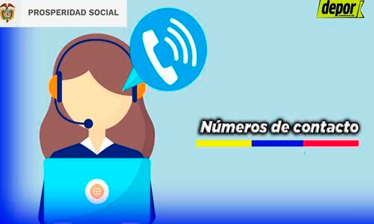 Consulta en la nota cómo ponerte en contacto con DPS. (Foto: Composición)