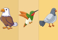 El ave que elijas revelará tu capacidad para alcanzar tus metas a largo plazo