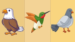 El ave que elijas revelará tu capacidad para alcanzar tus metas a largo plazo