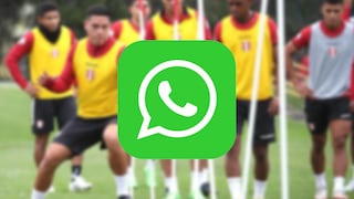 Conoce los pasos para activar el “modo selección” en WhatsApp