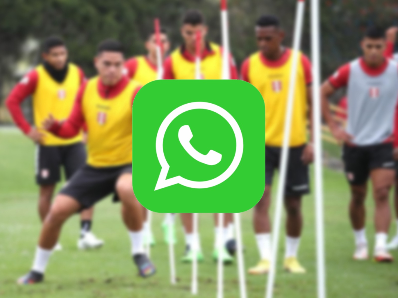 WHATSAPP | Previamente debes descargar imágenes de la selección peruana en formato para celulares. (Foto: Depor)
