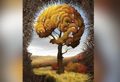 Descubre cuán inteligente eres aquí, según qué ves primero en este test visual