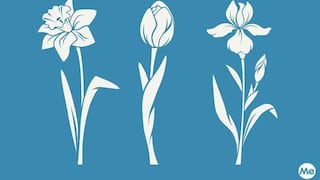 Descubre tu verdadera naturaleza eligiendo la flor primaveral que más te represente