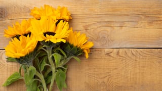 ¿Por qué se regalan flores amarillas el 21 de marzo en algunos países?
