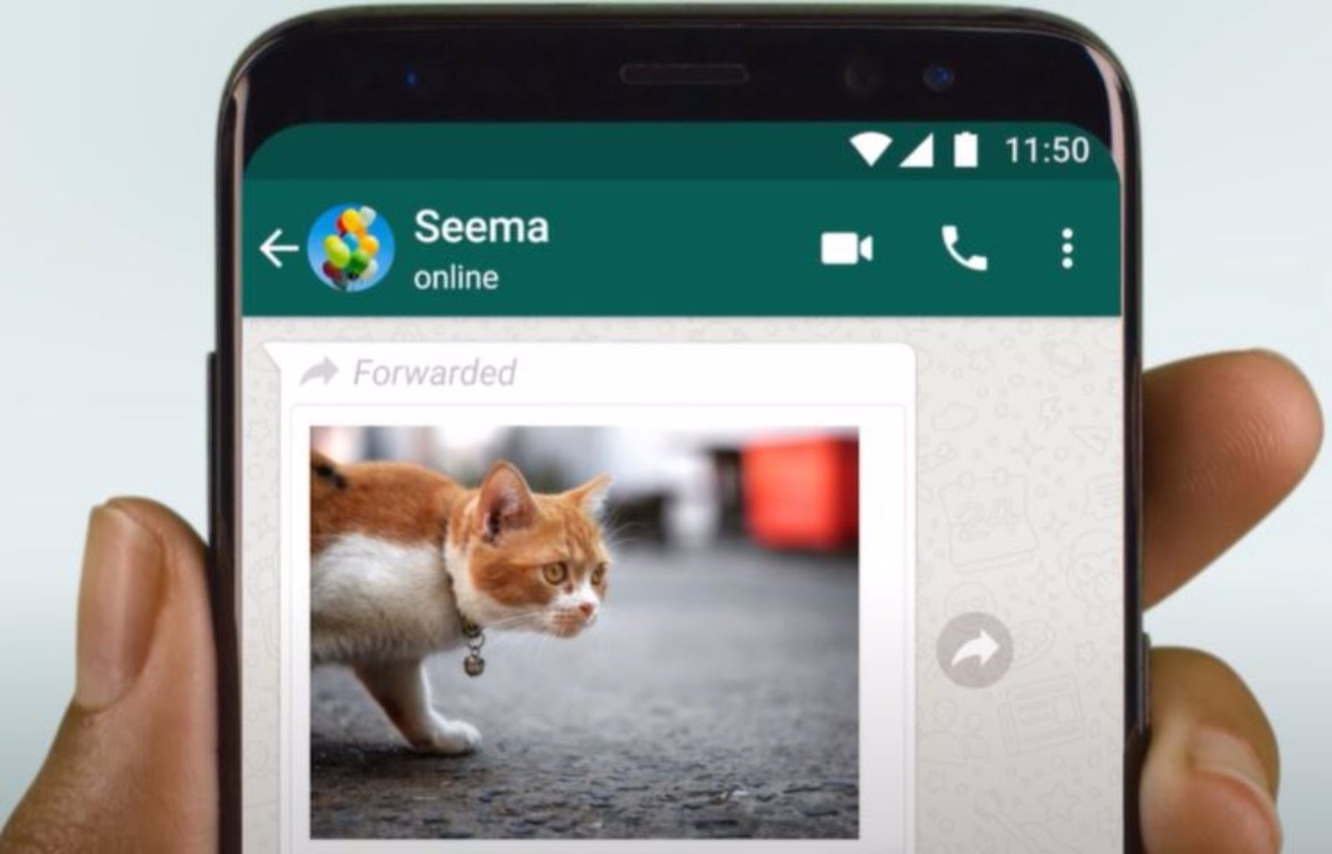 WHATSAPP | Se trata de una herramienta nativa de la propia aplicación. (Foto: Archivo GEC)