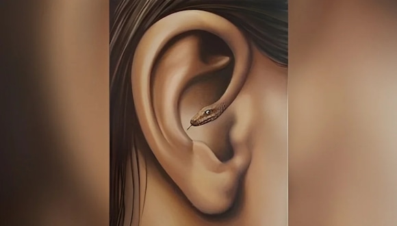 ¿Una serpiente o la oreja? Lo que veas primero revelará tu grado de timidez. (Foto: Genial.Guru)