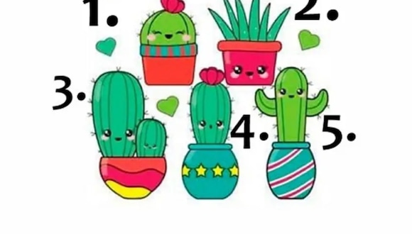 TEST VISUAL | En esta imagen se pueden apreciar muchos cactus. Tienes que escoger uno. (Foto: namastest.net)