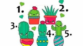 Información acerca de ti es lo que recibirás tras escoger un cactus