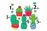 Información acerca de ti es lo que recibirás tras escoger un cactus