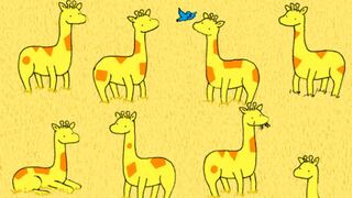 Reto viral: debes hallar a la jirafa sin pareja lo más rápido posible