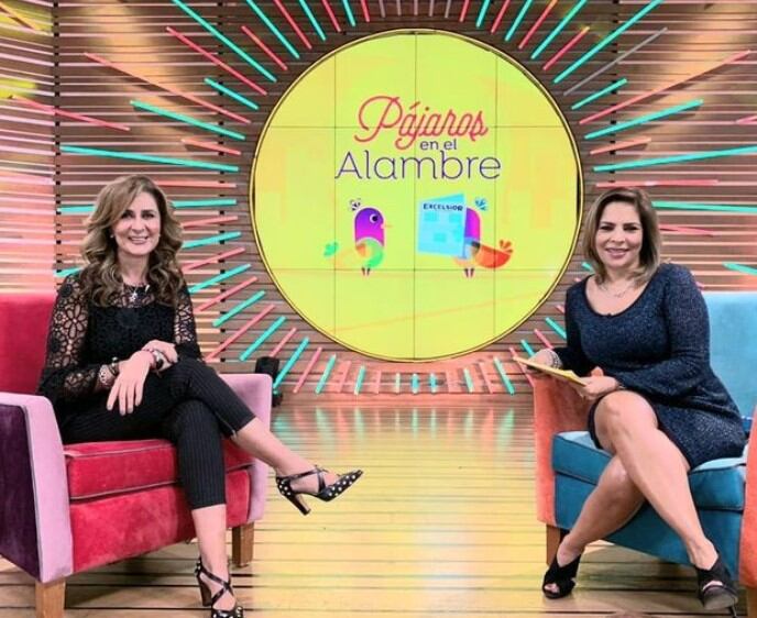 La periodista mexicana Matilde Obregón en el programa "Pájaros en el alambre" (Foto: Matilde Obregón/Instagram)