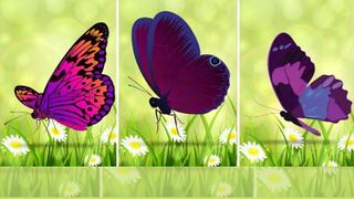 Escoge una mariposa para descubrir cómo resuelves los problemas