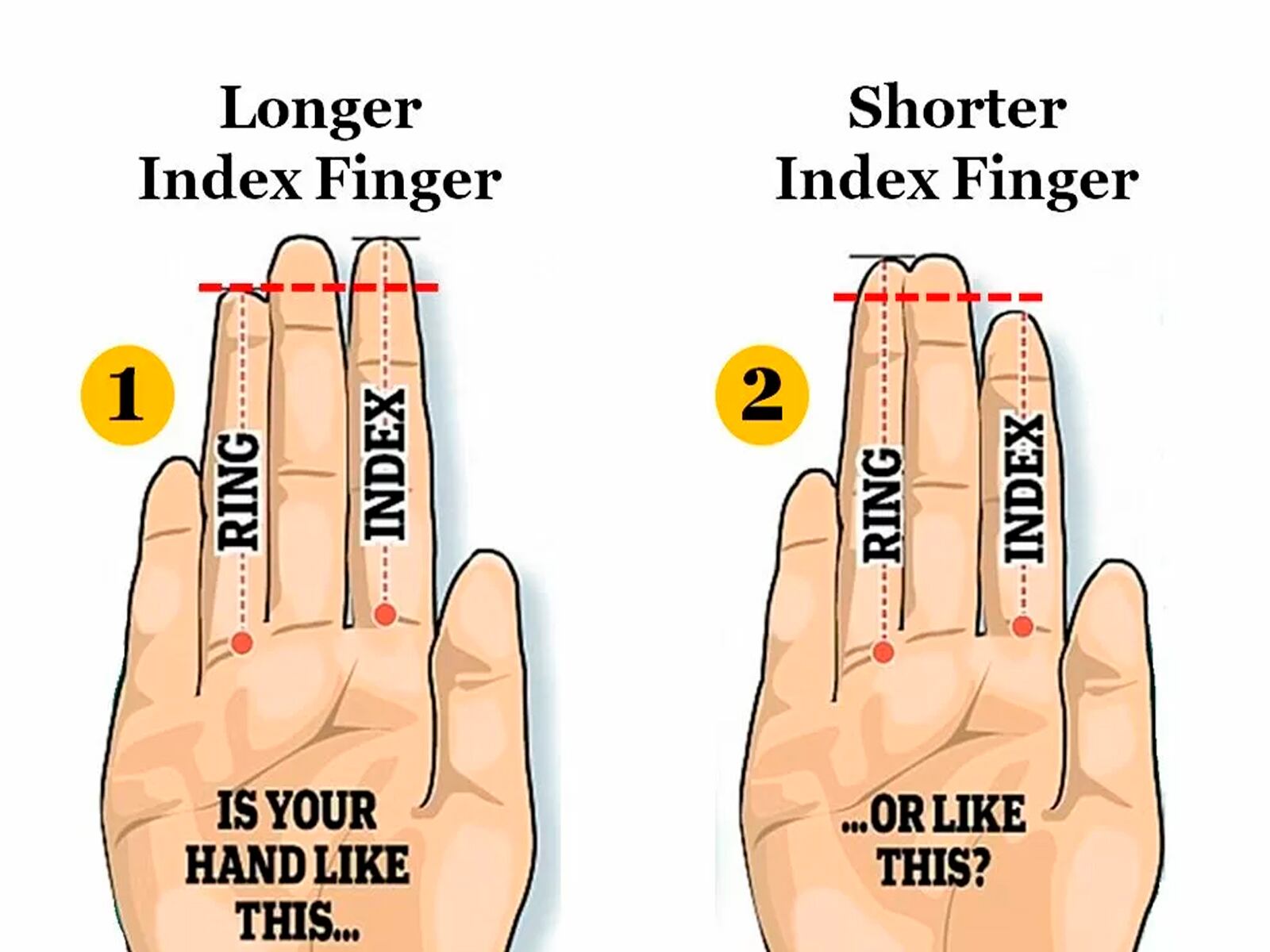 Debes elegir una de las dos opciones que aparecen y luego conocerás los resultados del test de personalidad.| Foto: jagranjosh