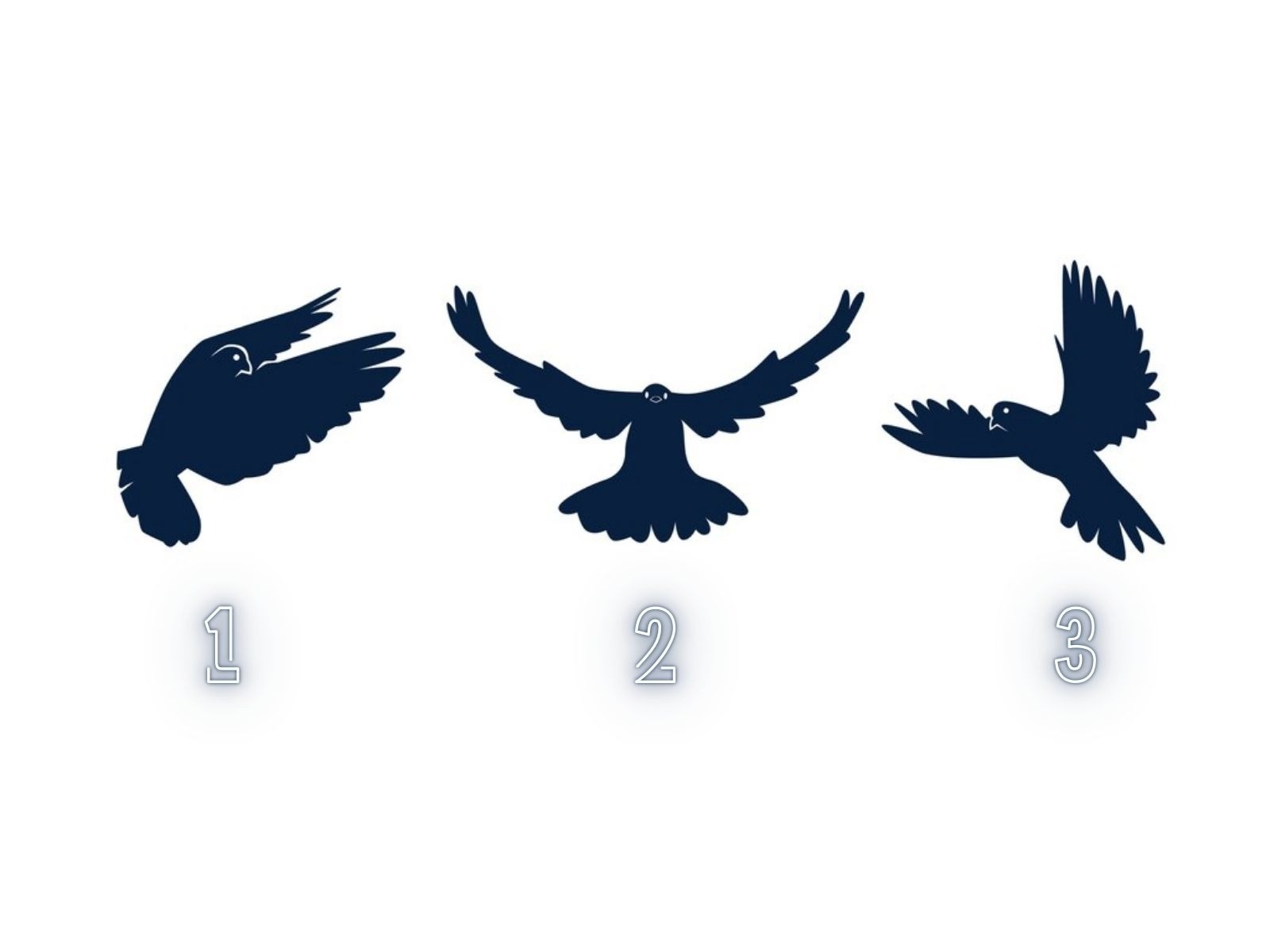 TEST VISUAL | Cada águila está ocultando una interesante información. ¿Por cuál te decides? (Foto: Composición Freepik / Depor)