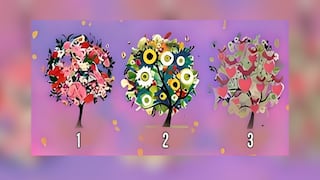 Test visual: identifica cómo te ven tus amigos tras elegir uno de los 3 árboles