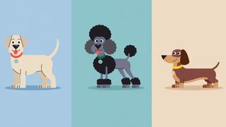 Elige uno de los tres perros en esta imagen para saber si eres una persona leal