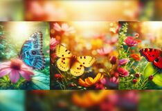 Elige una mariposa y descubre que rasgo de tu personalidad destaca más