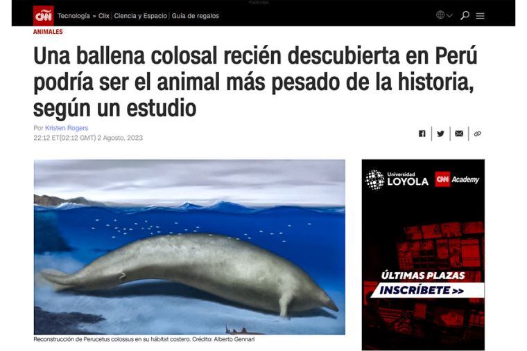 CNN también informó del Perucetus hallado en Perú (Foto: CNN)