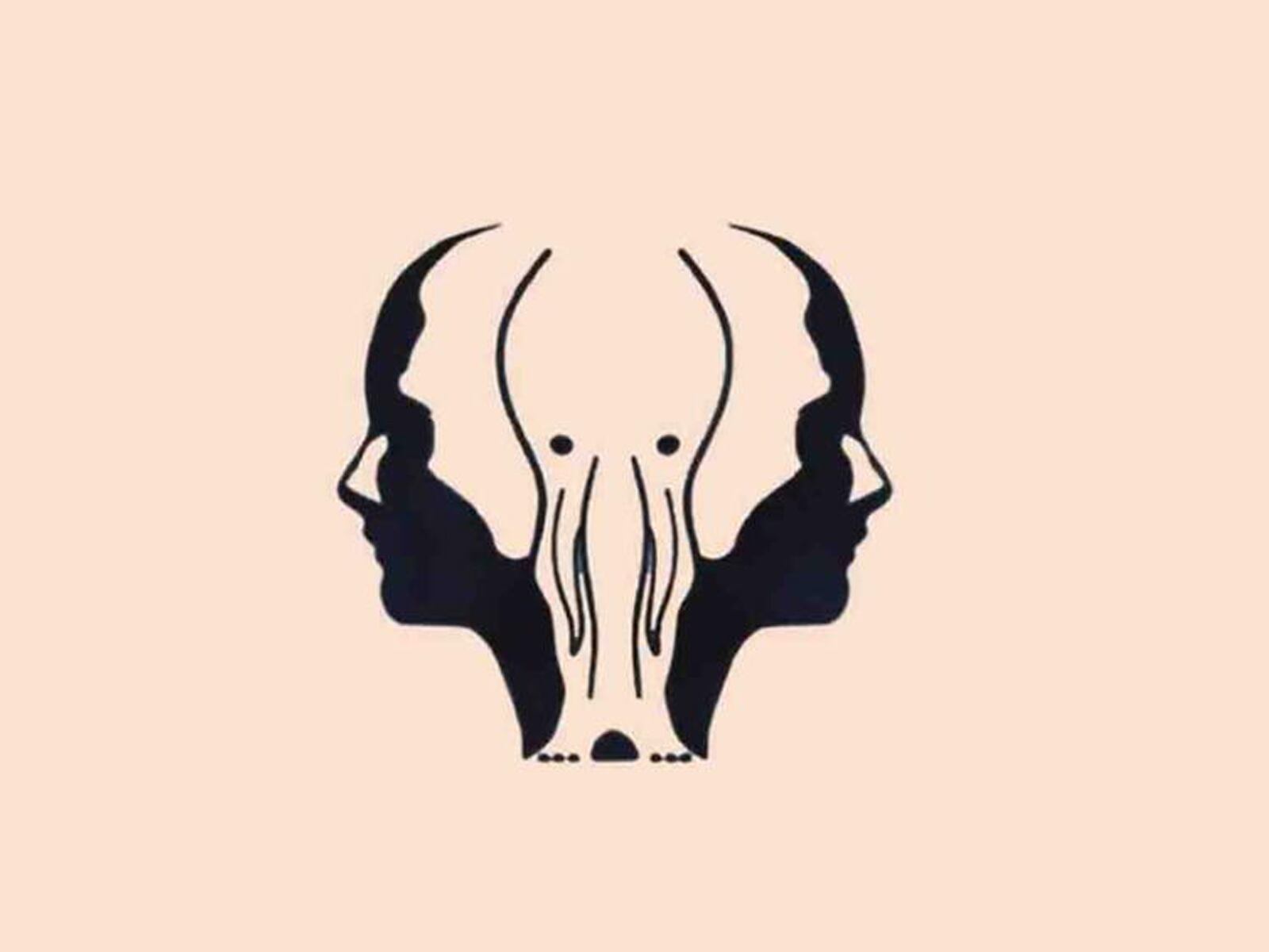 TEST VISUAL | Observa con atención la imagen y selecciona lo primero que más te llame la atención.