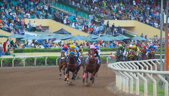 Serán 16 caballos que se juegan su clasificación. (Foto: Difusión)