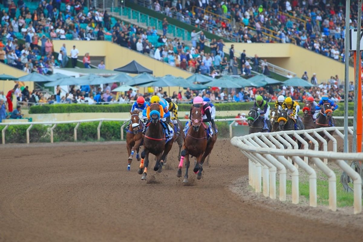 Serán 16 caballos que se juegan su clasificación. (Foto: Difusión)