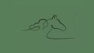 Revela tu mayor debilidad al tomar decisiones con este test visual