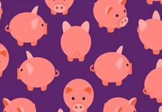 Reto visual: ¿puedes decir cuántos cerditos diferentes hay en la imagen?