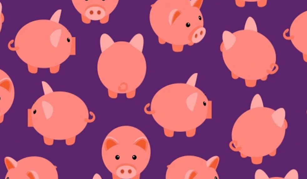 Reto visual: ¿puedes decir cuántos cerditos diferentes hay en la imagen? (Foto: GenialGuru)