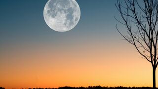 Horóscopo chino: los signos que se beneficiarán con la Luna de Nieve