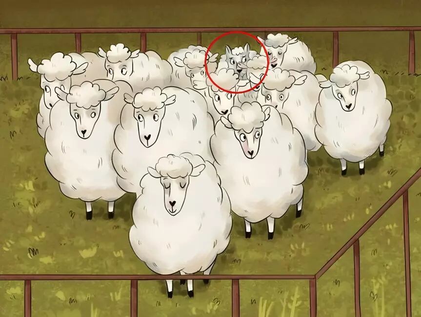 Solución: mira dónde se encontraba el lobo escondido entre las ovejas en esta imagen (Foto: GenialGuru).